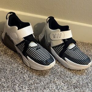 Nike Lebron Basketball Show Metallic Silver Nike logo